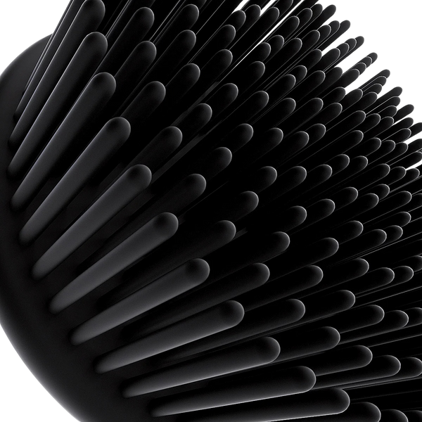 Derm Dude - DD BodyBrush Bristles Macro 01 v01